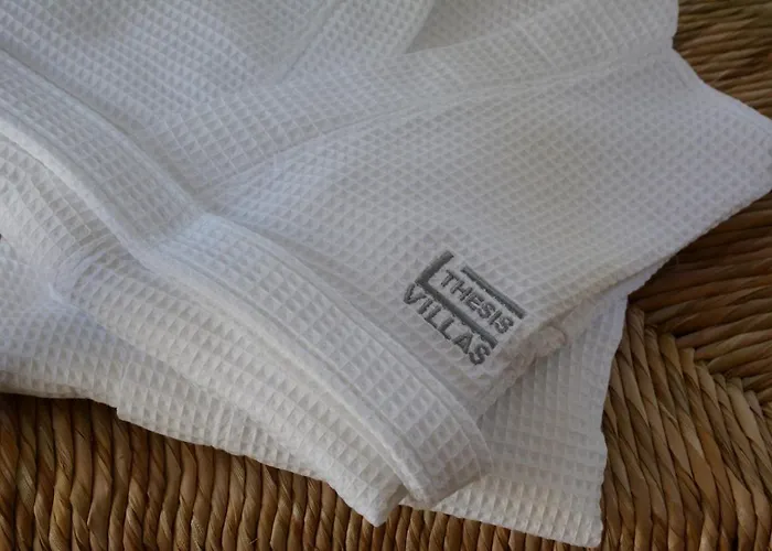 Thesis * 斯卡拉伯塔麦斯